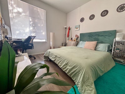 Female Roommate Needed Main Photo