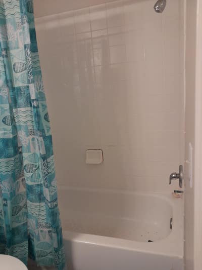 Roommate Wanted Main Photo