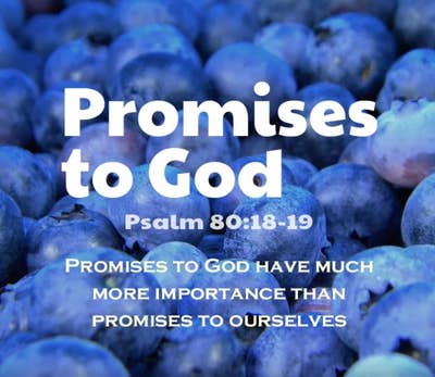 Room wanted in Philadelphia Main Photo