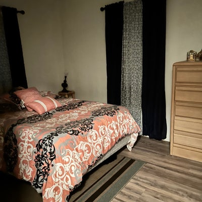 Friendly Roommate  Main Photo