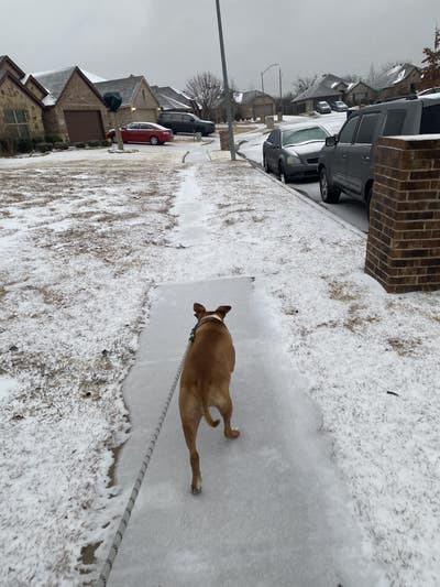 Room wanted in Fort Lauderdale Main Photo