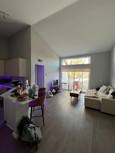 Roommate Wanted! Main Photo