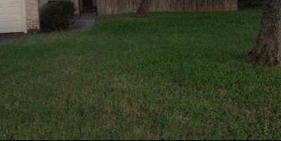 Fm Roommate for 2/2 Duplex in NW Austin  Main Photo