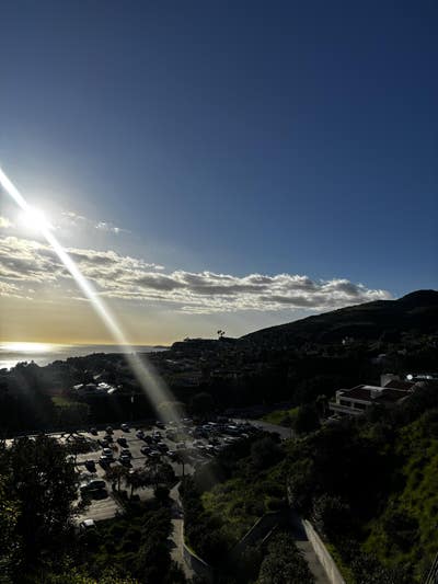 Female, 22, Needs Room, $500, Move Soon Main Photo