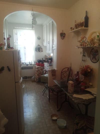 Charming 1BRBA Apartment in Secure Brooklyn Build Main Photo