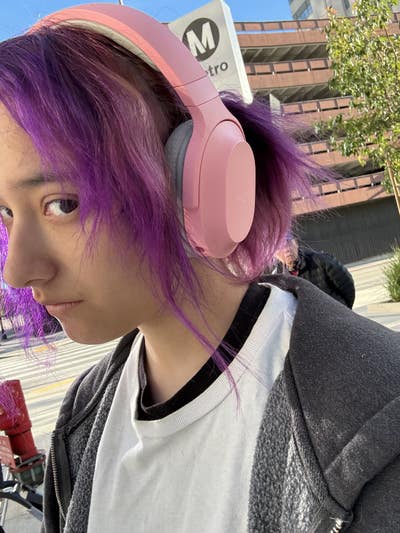 Looking for a room with kitty :) Main Photo