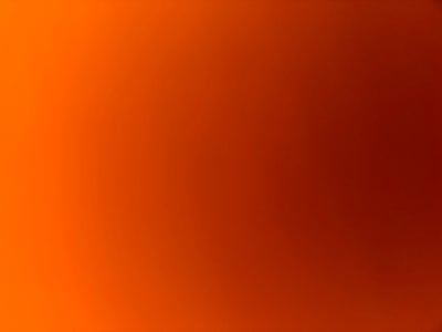 Room wanted in Philadelphia Main Photo