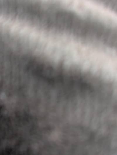 Room wanted in New York Main Photo