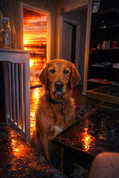 Room wanted in Middle Island Long Island NY  Main Photo