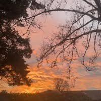 Room wanted in Hillsboro, Washington County, OR Main Photo