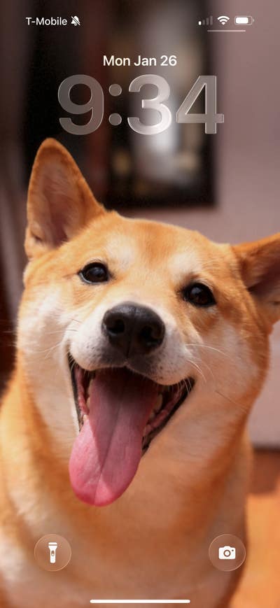 Room wanted in New York Main Photo