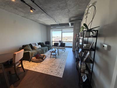 South Loop Apt, will cover first month!  Main Photo