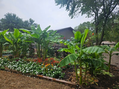 Spare room Main Photo