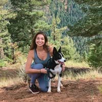 Room wanted in Plano, TX Main Photo