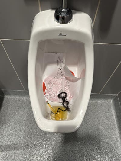 Room wanted in Arlington, TX Main Photo