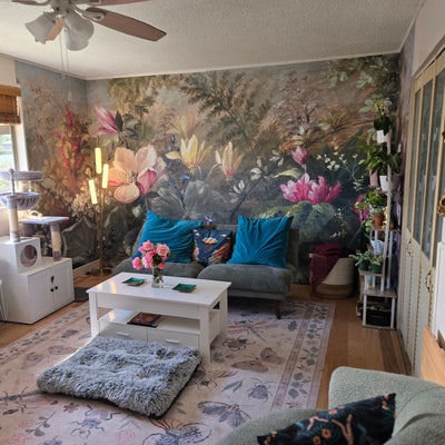 Looking for roomate 2bd 1ba La Mesa $1195 Main Photo