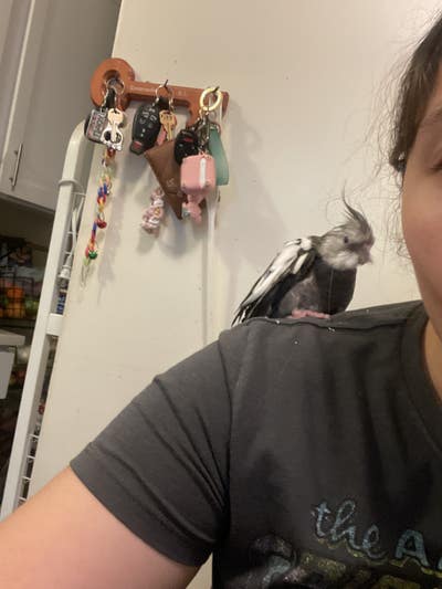 Female, 19, Budget $800, Ready to move in Main Photo