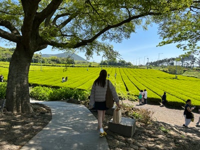 Professional Female seeks a large room Main Photo