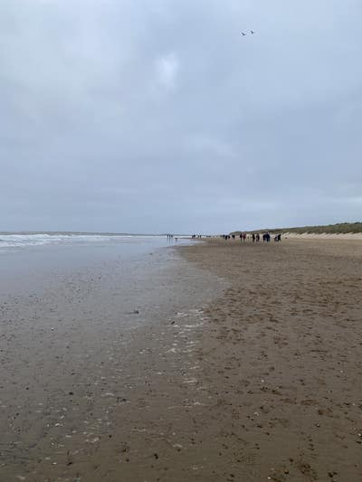 Budget $400, Moving From UK, Just Looking Main Photo