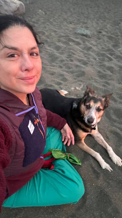 Room wanted in Napa, CA Main Photo