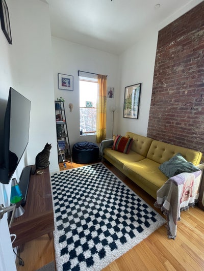 Sunny & Cozy Bushwick Room Main Photo