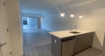 Looking for a Female Roommate — Jersey City Main Photo