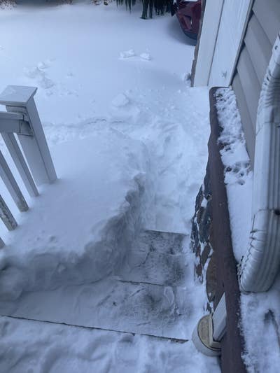 Room wanted in New York Main Photo