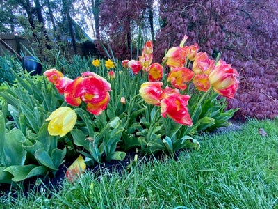 Room wanted in New York Main Photo