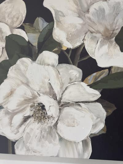 $600 Budget, Female Roommate, Move Soon Main Photo