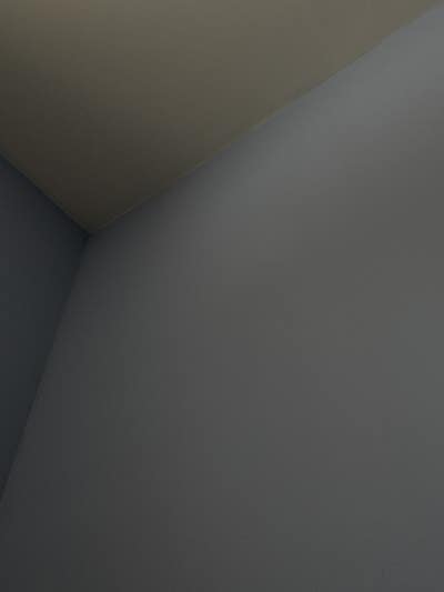 Room wanted in New Jersey Main Photo