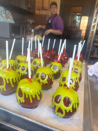 Room wanted in Miami Main Photo