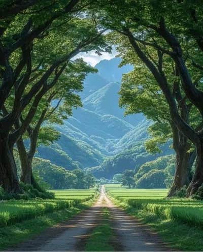 Room wanted in New Rochelle, NY Main Photo