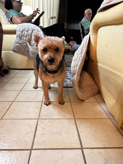 Room wanted in New York Main Photo