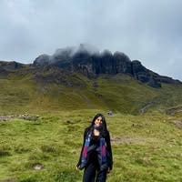 Room wanted in San Francisco Bay Area Main Photo