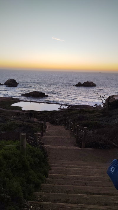 Room wanted in Chicago Main Photo