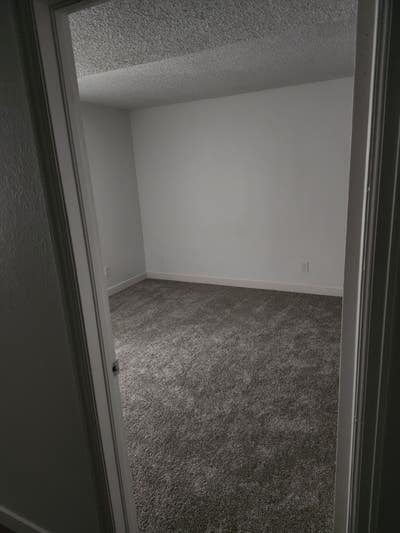 Great Apartment in South Fort Collins Main Photo