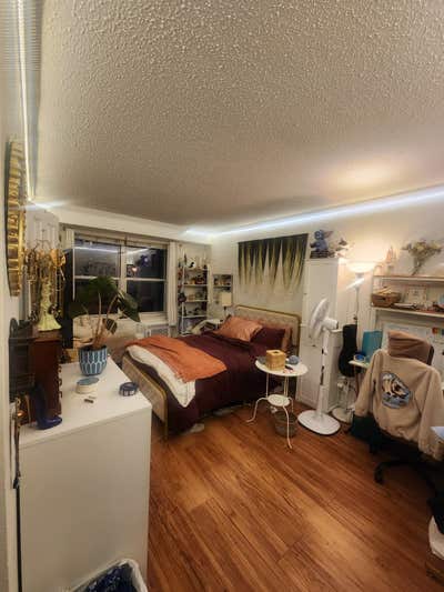 Looking for a new roomie in Hell's Kitchen! Main Photo