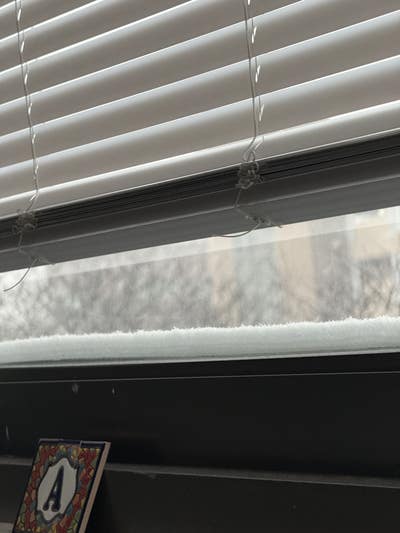 Room wanted in New Jersey Main Photo