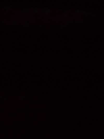 Room wanted in Fort Lauderdale, FL Main Photo