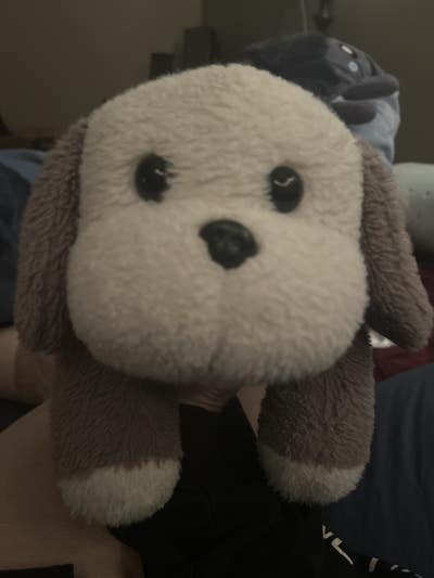 Room wanted in Hanover, Pennsylvania Main Photo