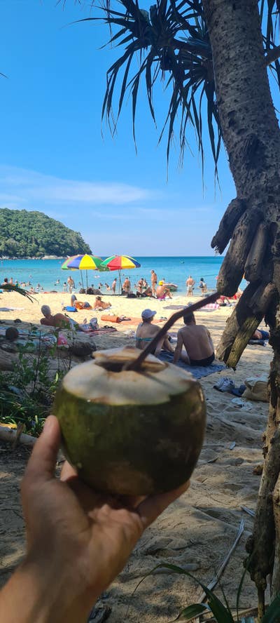 Room wanted in Miami  little havana Main Photo