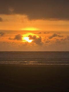 Room wanted in Tacoma, WA Main Photo