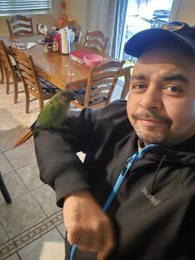 Room wanted in San Mateo, CA Main Photo