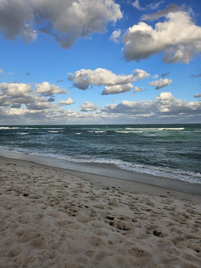 Room wanted in Philadelphia Main Photo