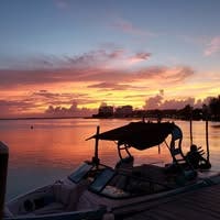 Room wanted in Miramar, FL Main Photo