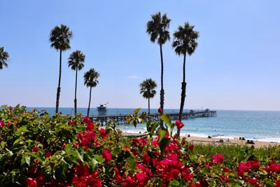 Ocean view room Main Photo