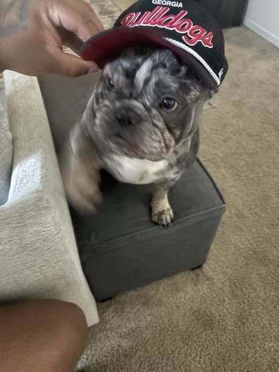 Room wanted in San Diego Main Photo