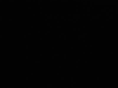 Room wanted in Las Vegas Main Photo