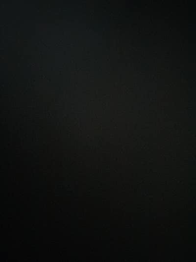 Room wanted in NYC Main Photo