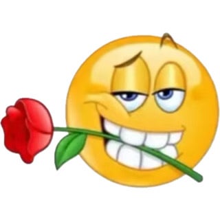 Room wanted in NYC Main Photo